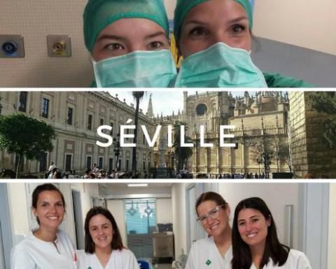 Nos étudiants en Eramus à Séville