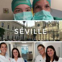 Nos étudiants en Eramus à Séville